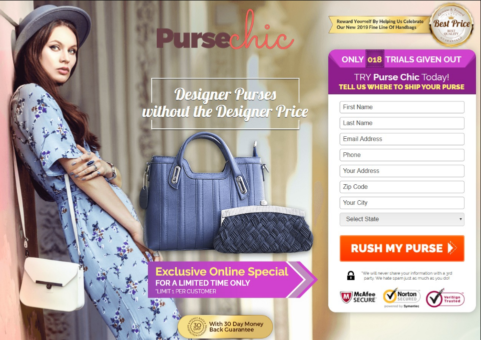 Purse Chic review